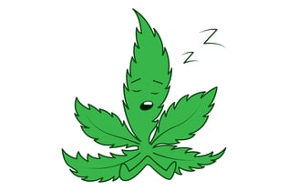 marijuana leaf sleeping